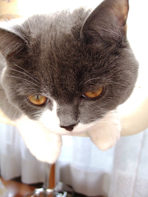 f0032020_14382951.jpg