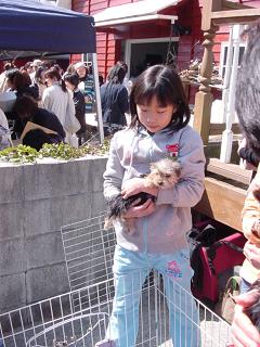 e0050324_1663016.jpg