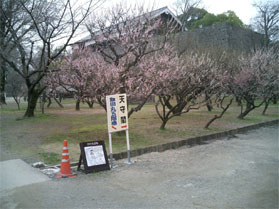 c0048625_17415197.jpg
