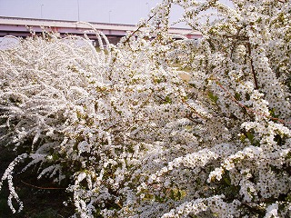 b0006329_2221465.jpg