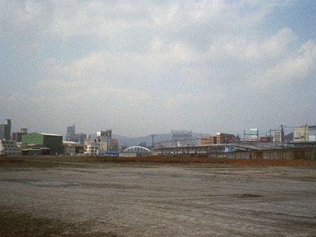d0036630_959655.jpg