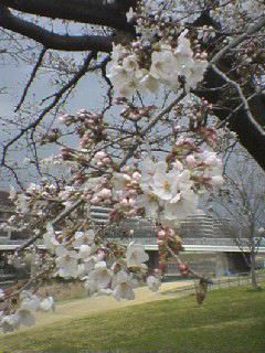 d0049630_2325971.jpg