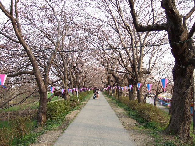 e0064133_1933410.jpg