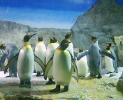 c0056237_22593185.jpg