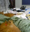 b0055939_18205389.jpg