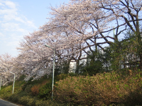 b0042943_22244852.jpg