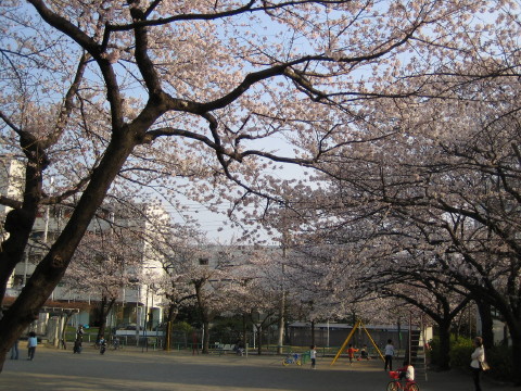 b0042943_2231162.jpg