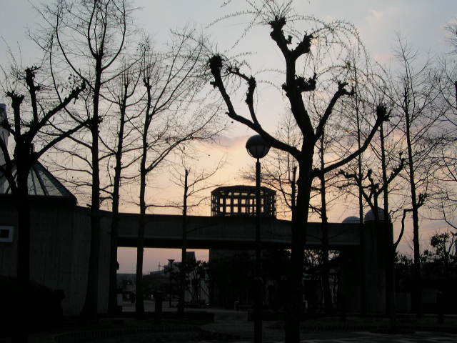 f0074659_23185085.jpg