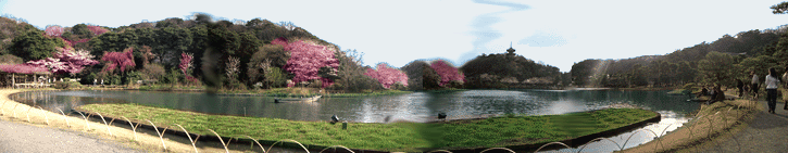 b0037160_11384234.gif