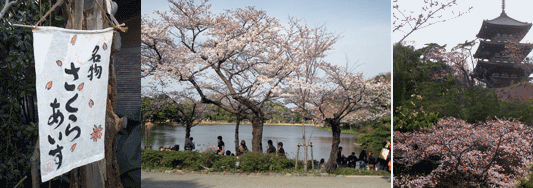 b0037160_11592751.gif