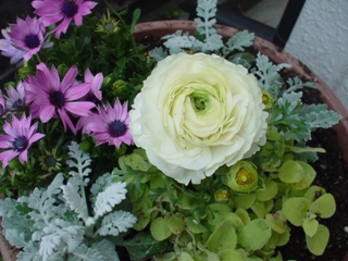 d0064366_113948.jpg