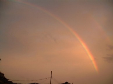 e0092467_182010.jpg