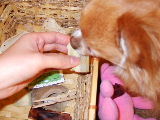 f0052071_1756418.jpg