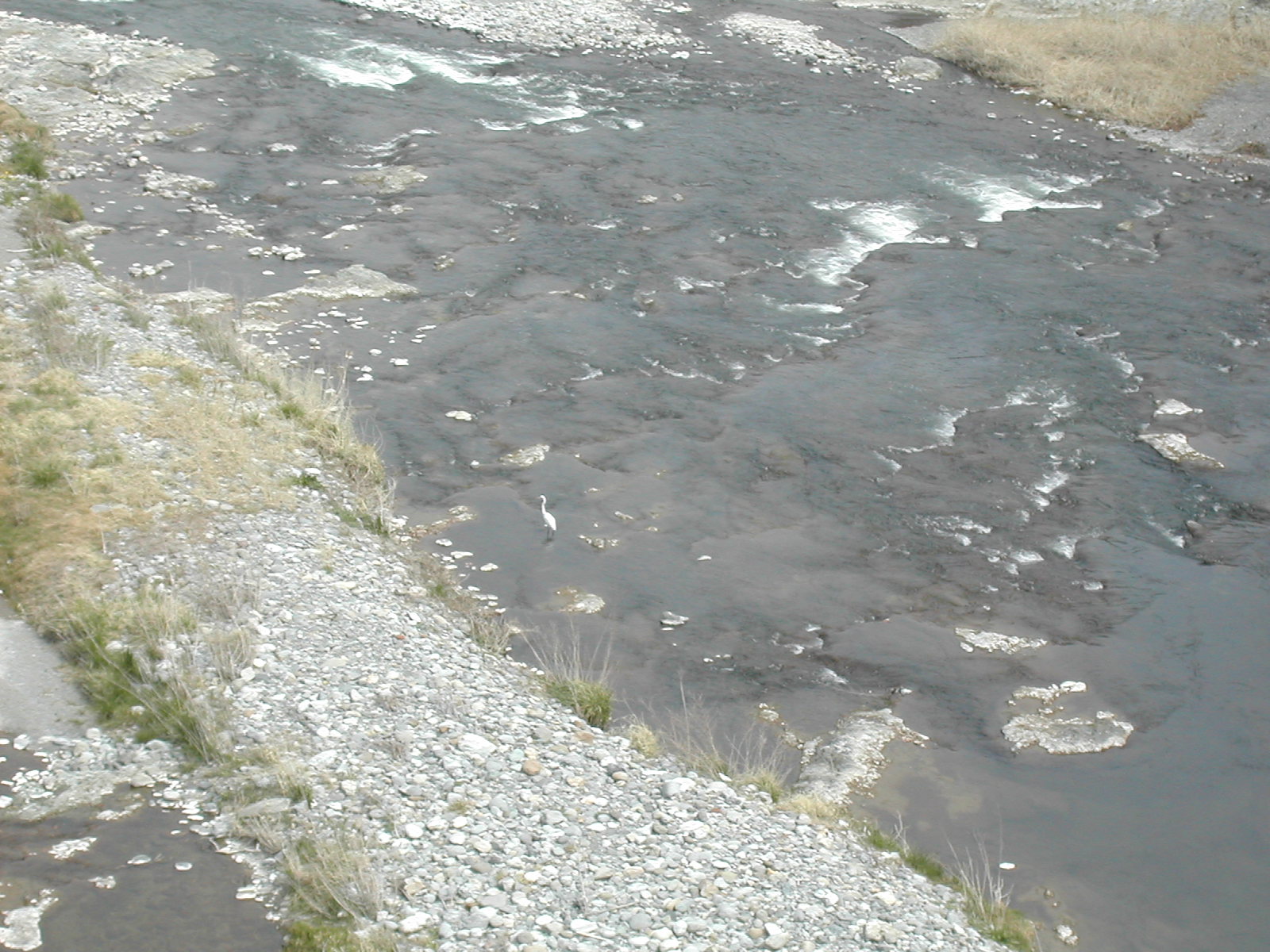 b0032079_22115333.jpg