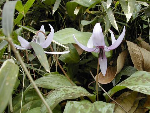 b0032079_22133612.jpg