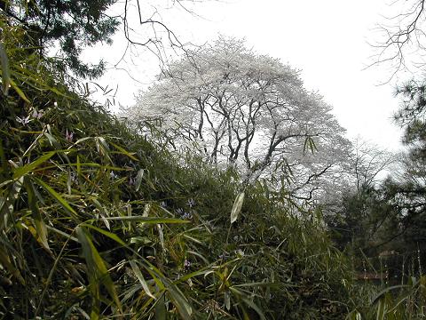 b0032079_22134618.jpg