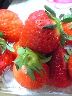 c0008281_21204510.jpg