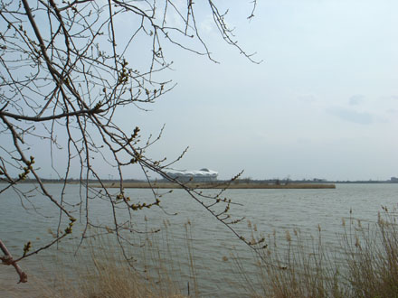 e0082981_20323727.jpg