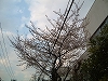 f0015381_332845.jpg