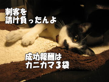 b0041182_23193937.jpg