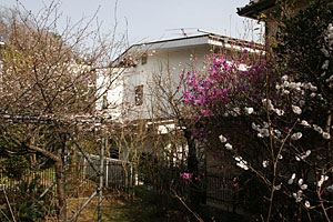 d0021488_18591815.jpg
