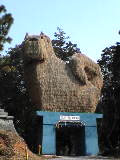 f0019093_631125.jpg