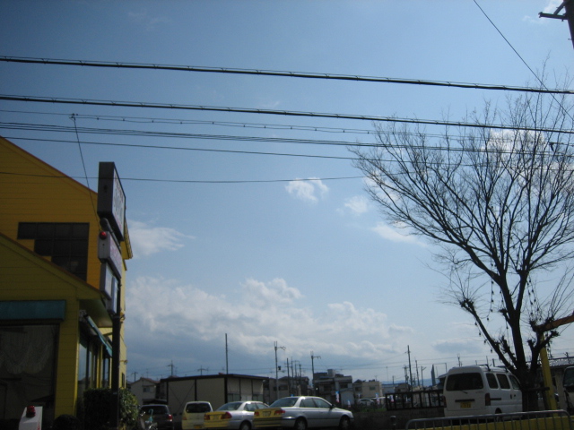e0051194_2242478.jpg