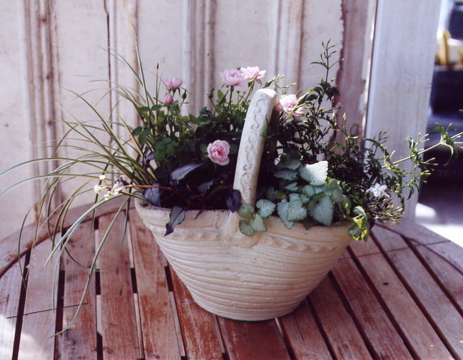 f0054197_2059411.jpg