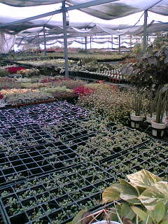 f0103304_218523.jpg