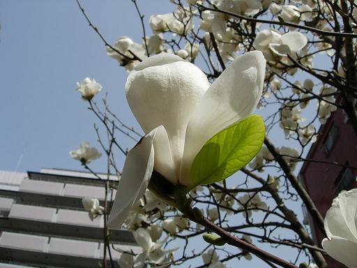 a0030205_22275293.jpg