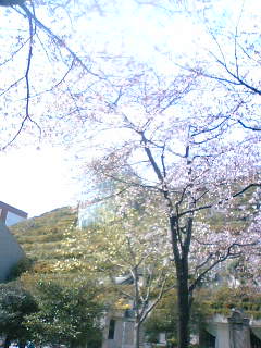 e0077910_1131770.jpg