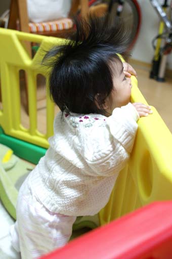 a0044114_2344151.jpg
