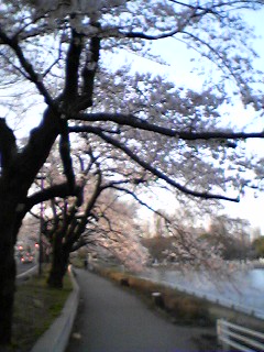 a0048014_23272731.jpg