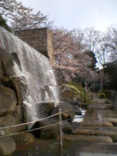 a0048014_23272732.jpg