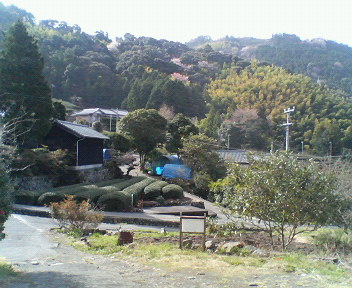 f0036223_984666.jpg