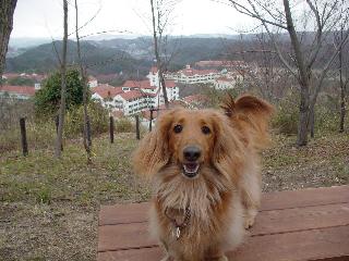 f0088731_20121018.jpg