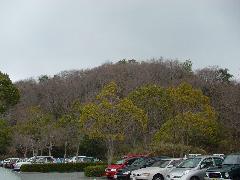f0088731_2061541.jpg