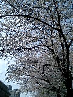 e0081334_181754.jpg
