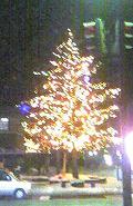 f0102437_13342081.jpg
