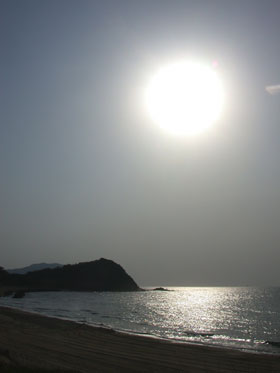 a0065443_11372929.jpg