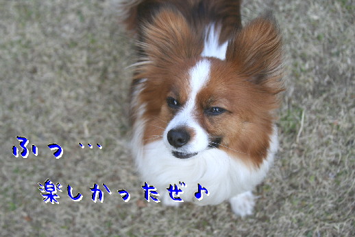 d0013149_15541634.jpg