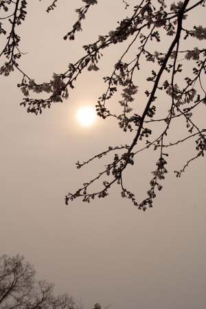 d0021952_0222145.jpg