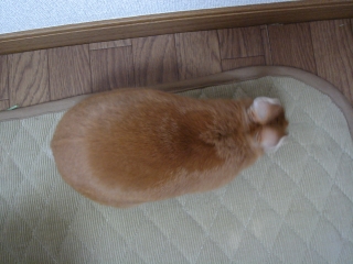 c0032257_0455731.jpg