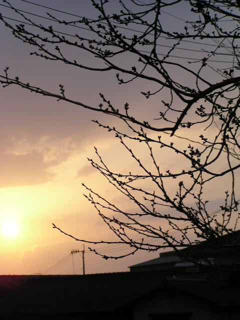 f0074659_013222.jpg