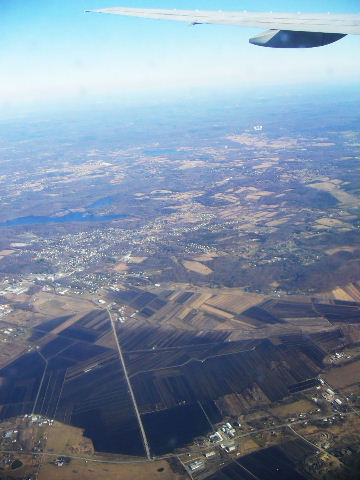 b0015260_831304.jpg