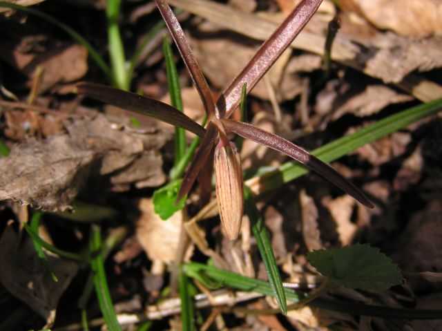 c0042869_21151991.jpg