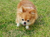 f0052071_14273172.jpg
