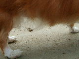 f0052071_14373667.jpg