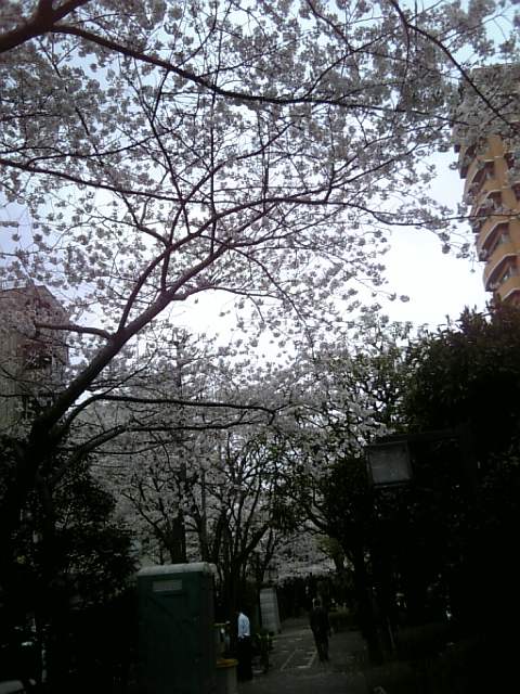 f0070581_2047584.jpg