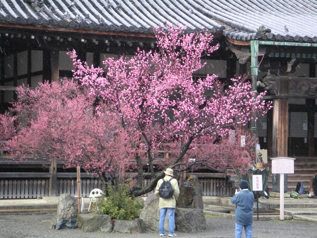 e0023183_16204376.jpg
